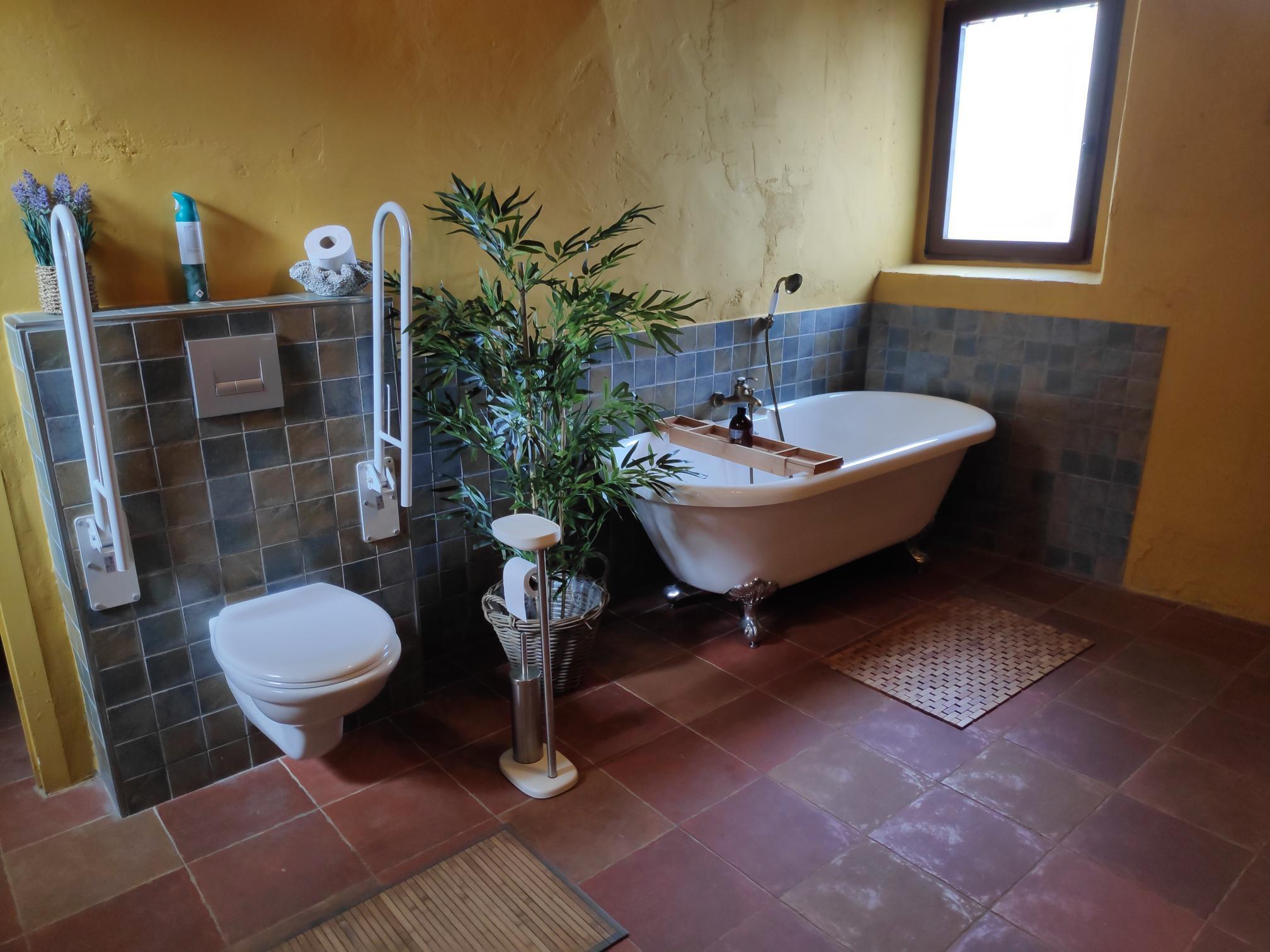 1651586453043_1.jpg 1651586453043_1.jpg