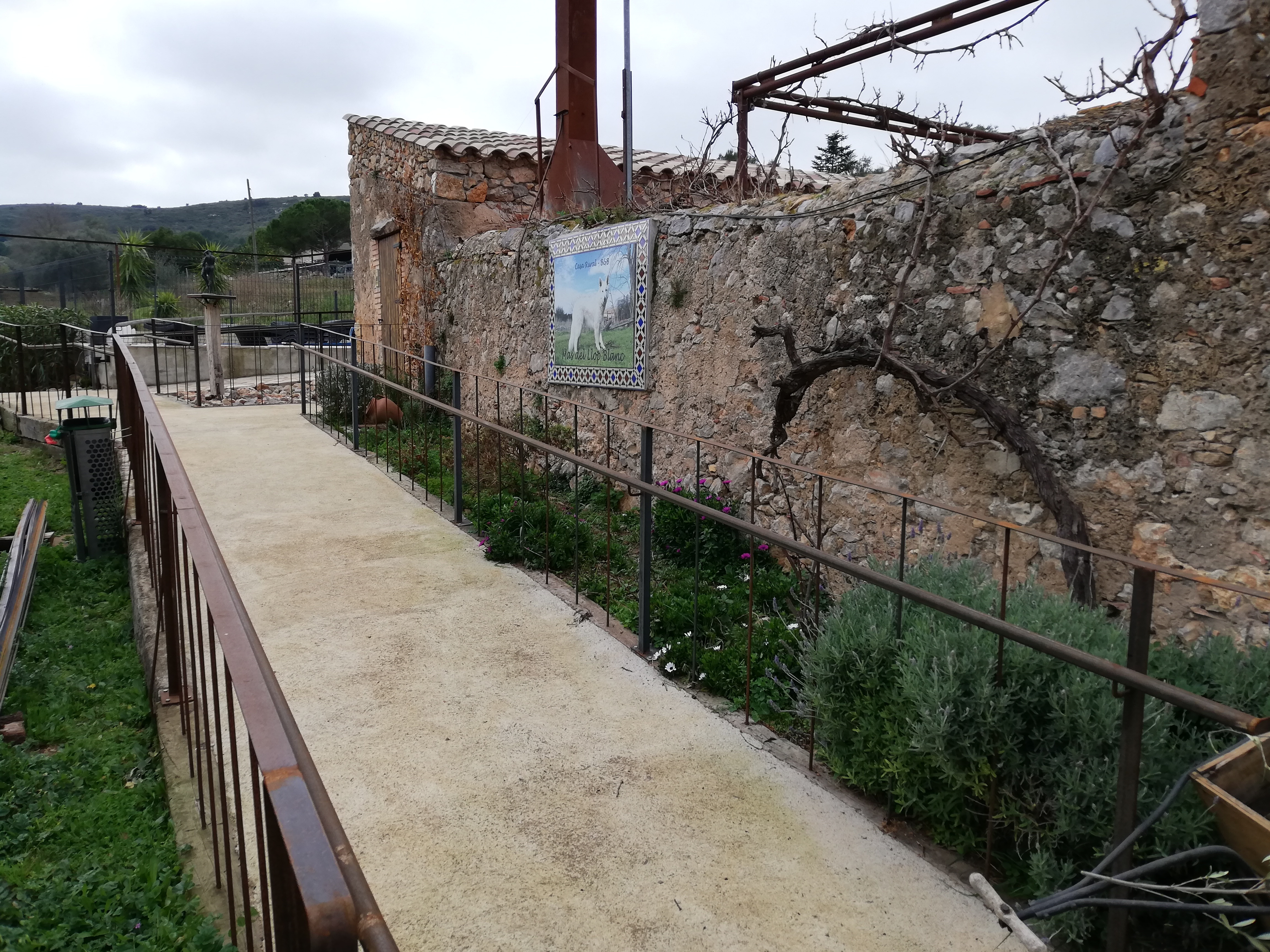 IMG_20210219_121923.jpg IMG_20210219_121923.jpg